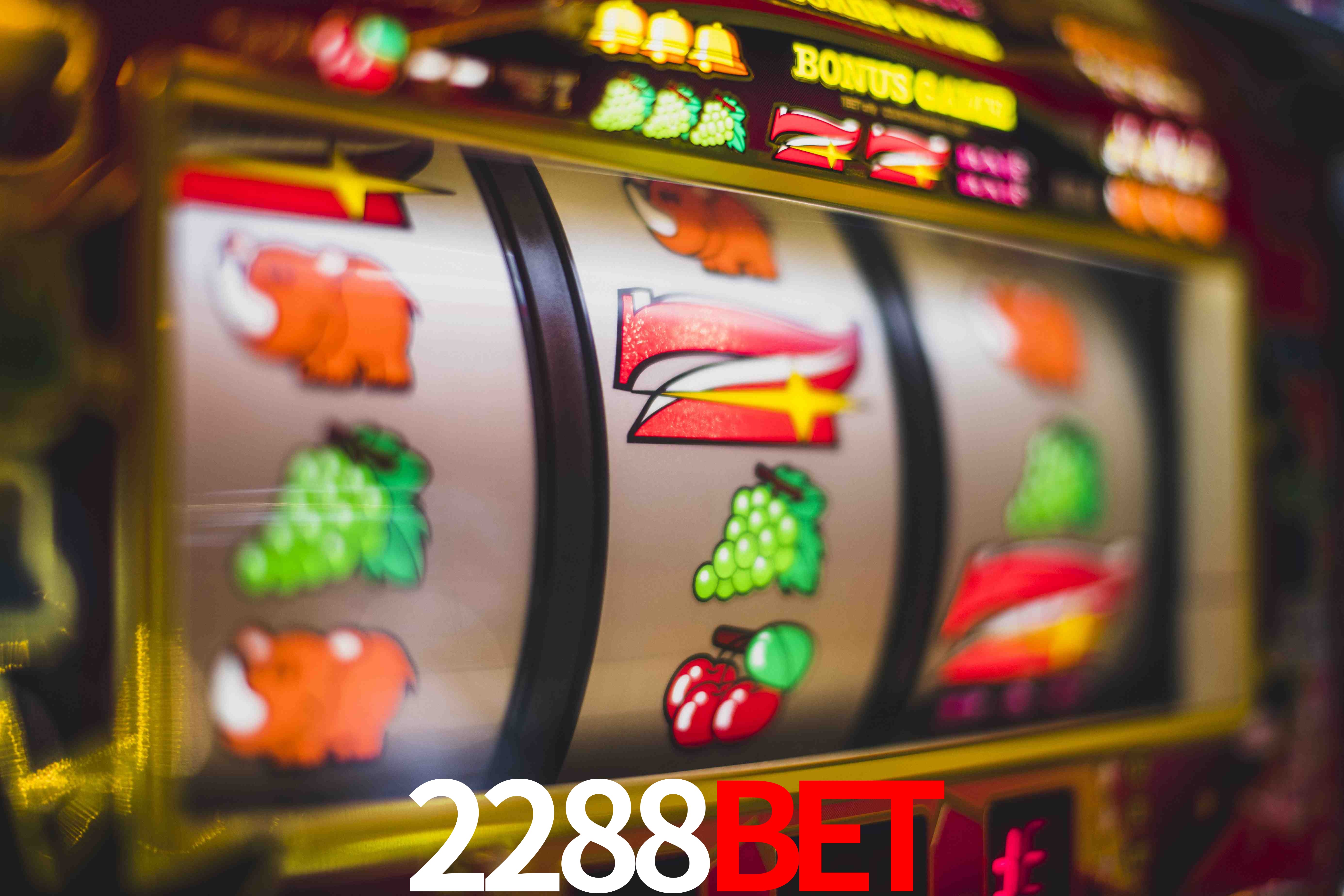 Statistics 2288Bet
